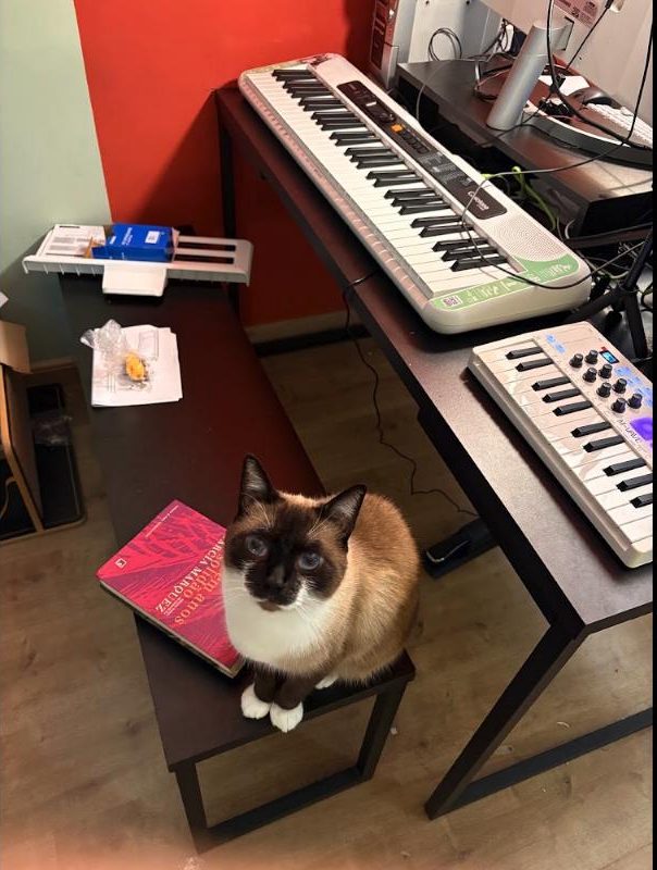 Turing sitting on a bench by two synthesizer keyboards