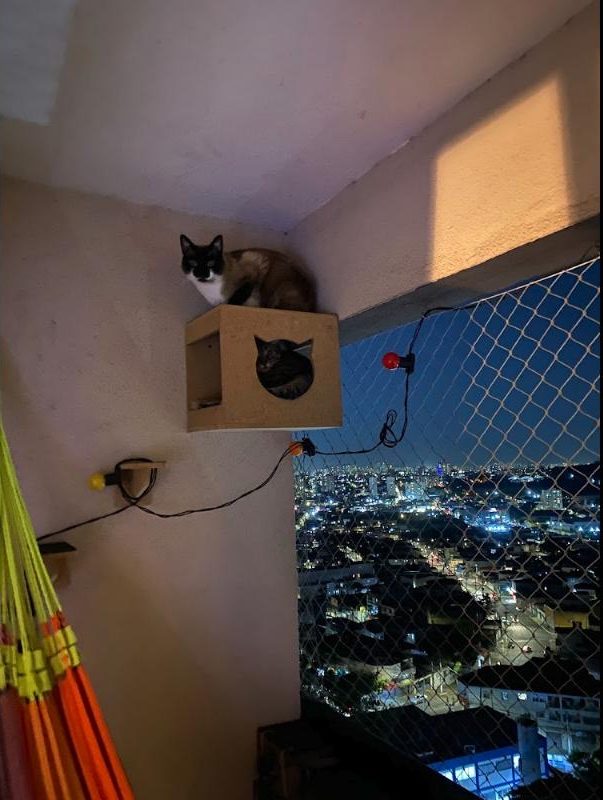 Turing on top of a wall-mounted cat house on a balcony at night, with Nokia inside and city lights below